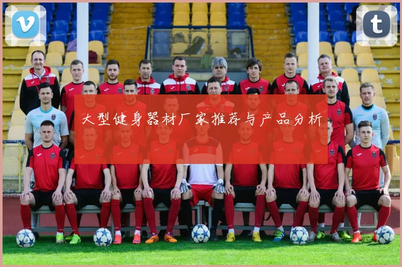 大型健身器材厂家推荐与产品分析