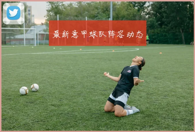 最新意甲球队阵容动态