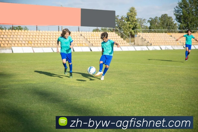 App Interface Preview