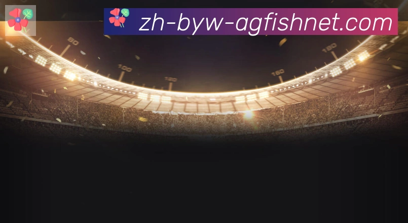 平台使命图