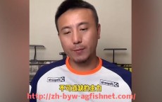AG捕鱼王官网-2011年欧冠多特蒙德赛季全纪录及球队战绩