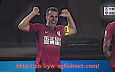 AG捕鱼王官网-德甲历届冠军一览：拜仁之外还有谁？