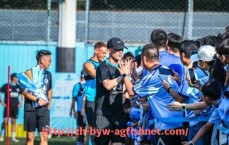 AG捕鱼王官网-法甲最佳主场球队排名：主场胜率与主场气氛评估模型